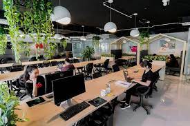 lĩnh vực hoạt động